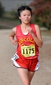 2009 CIF XC D1 Girls - 172